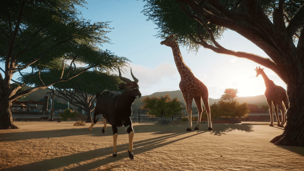 Гайд: как заработать деньги в Planet Zoo
