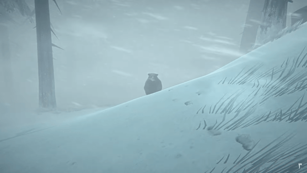 Сурвайвал The Long Dark получил самое большое обновление