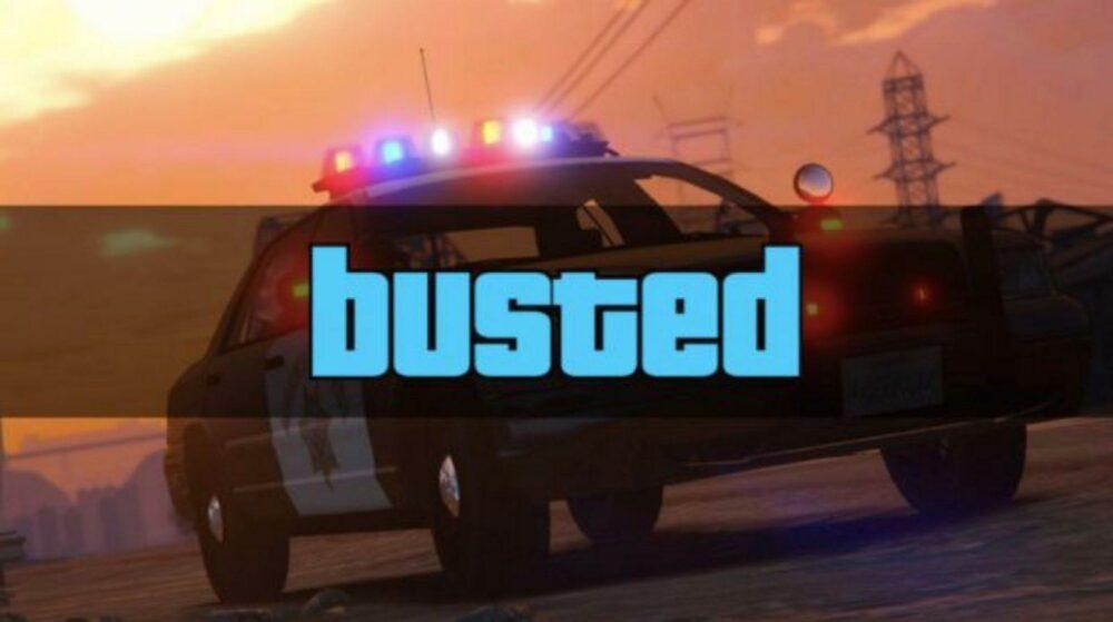 11-летний фанат GTA был арестован за рулем автомобиля 11-летний фанат GTA был арестован за рулем автомобиля
